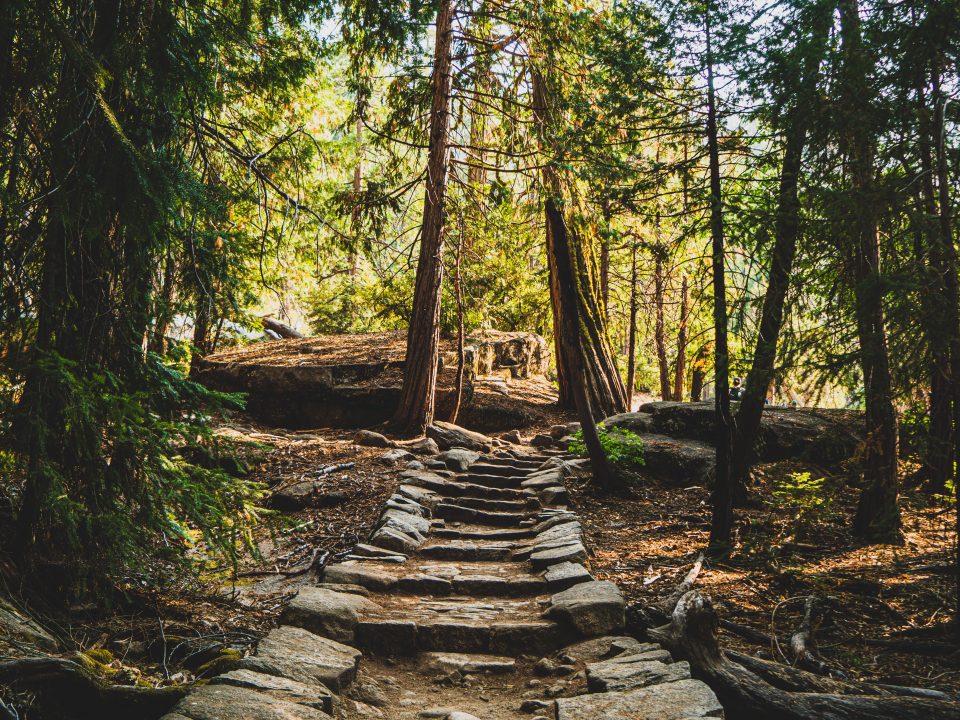 UCN Hikes image showing a stone path through a forest
